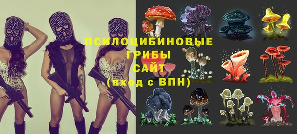 ALPHA-PVP Армянск
