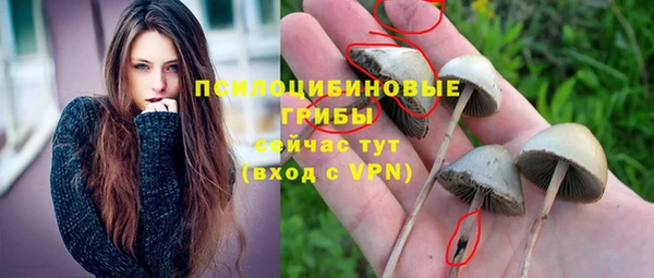 ALPHA-PVP Армянск