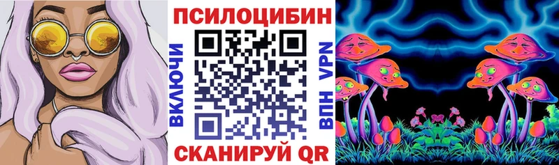 Псилоцибиновые грибы Cubensis Полесск